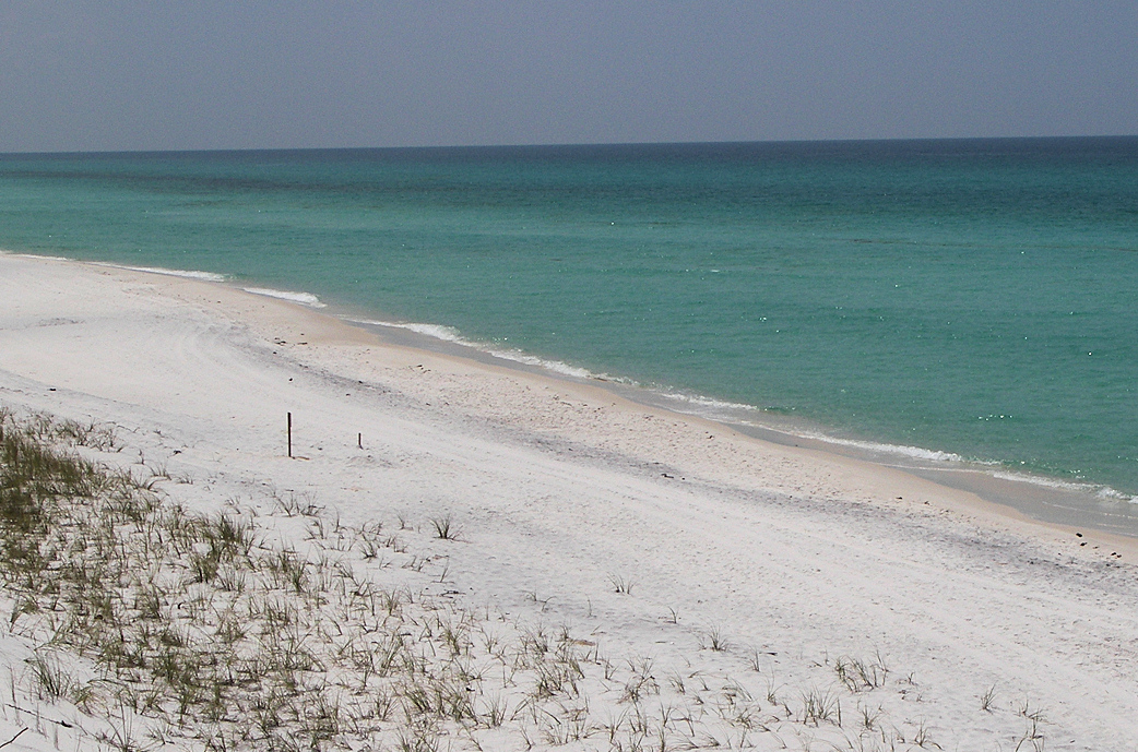 Grayton Beach State Park on 30A Florida