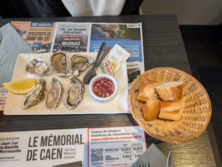 Fresh oysters — representative dining photo